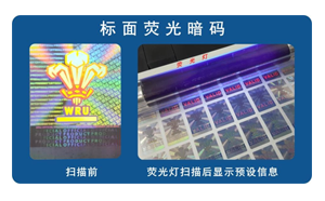 化学好色先生TV下载APP